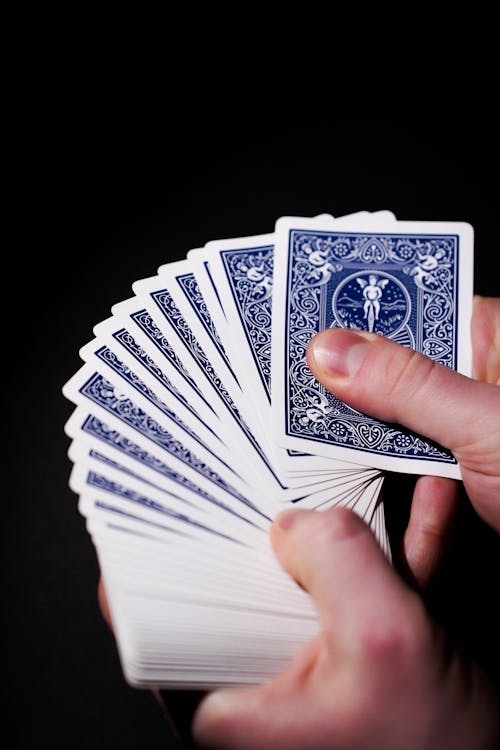 Mozambiquebet Casino Online Terbaik 2026